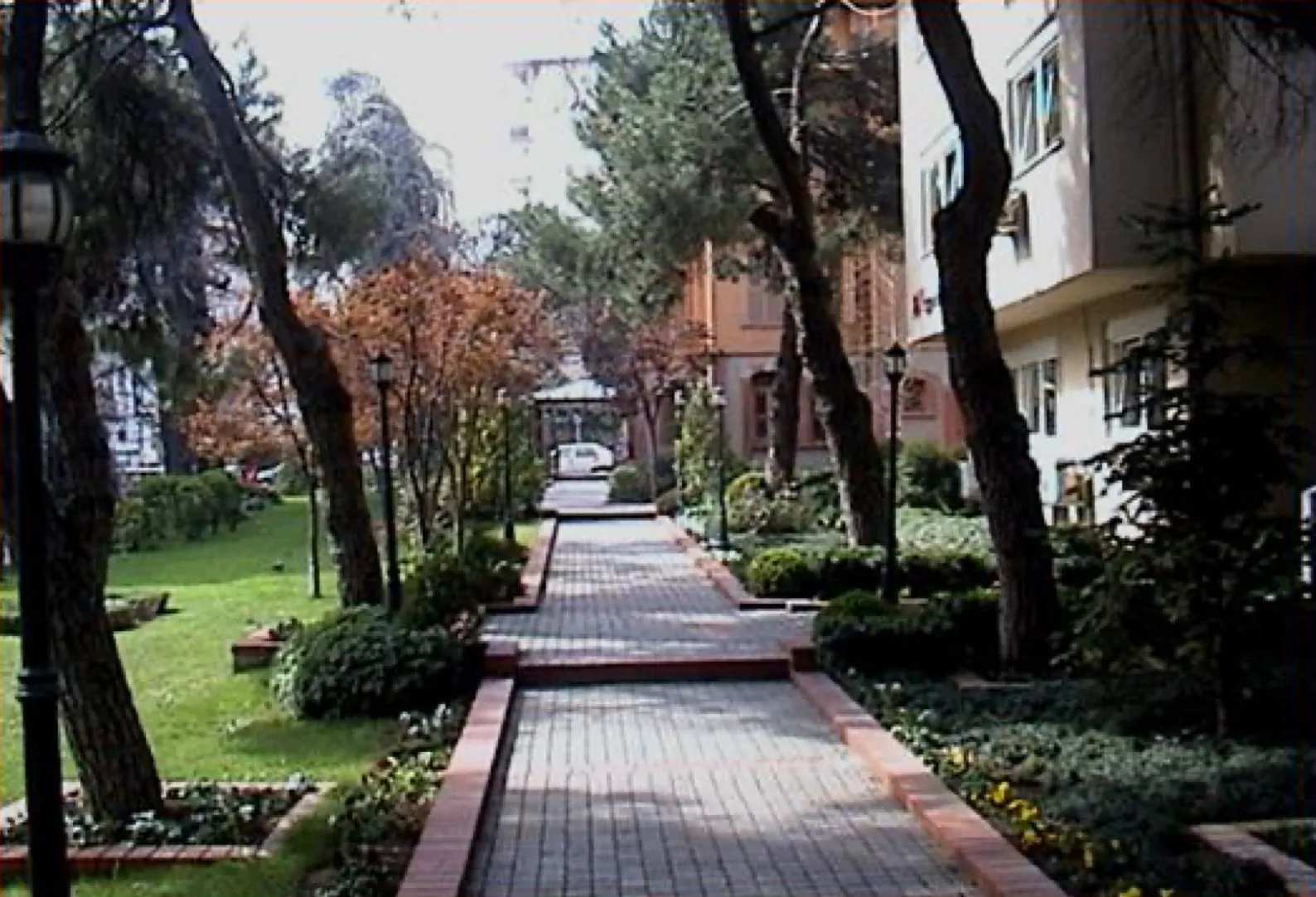 Paşa Korusu